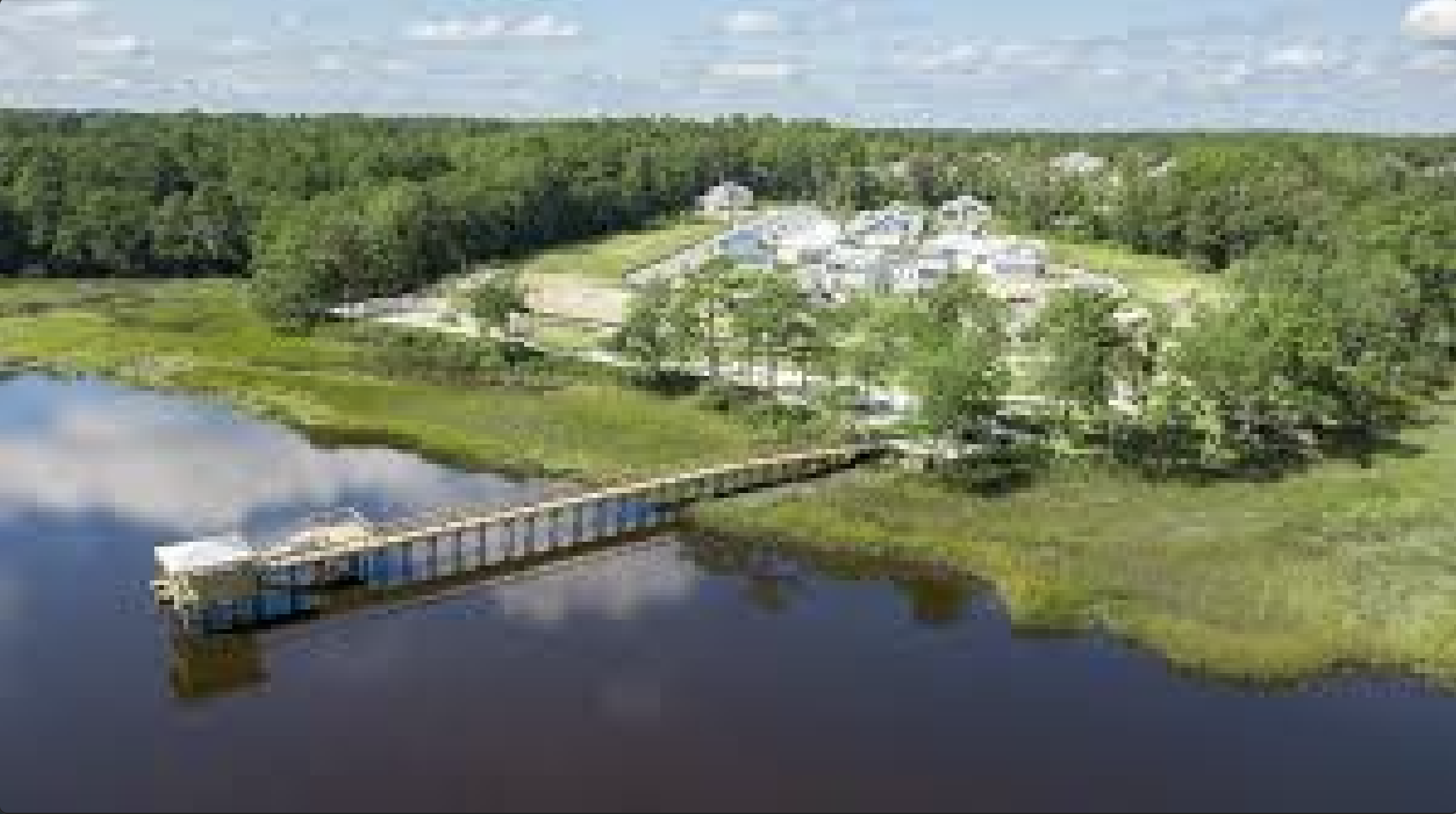 Aerial view: homes by forest, dock stretching into water.